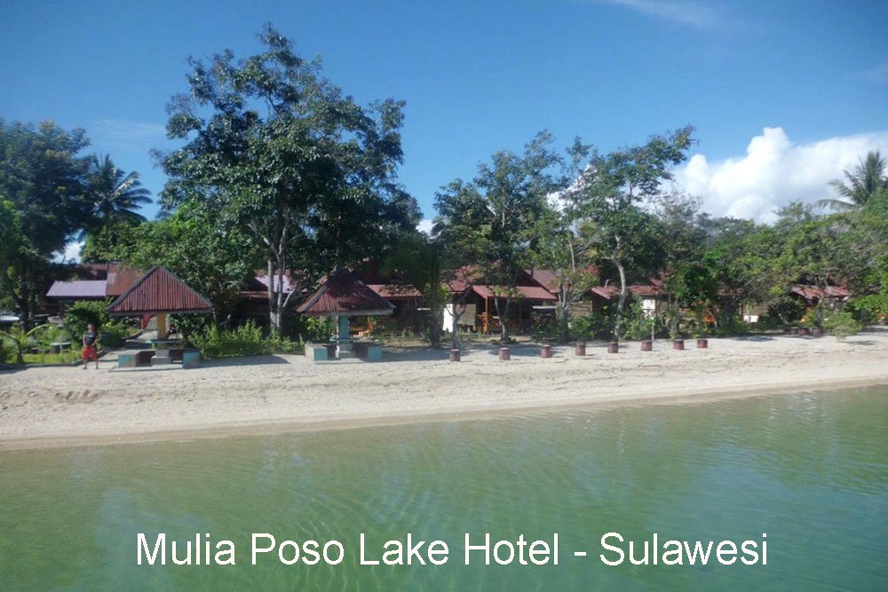 Mulia Poso Lake Hotel