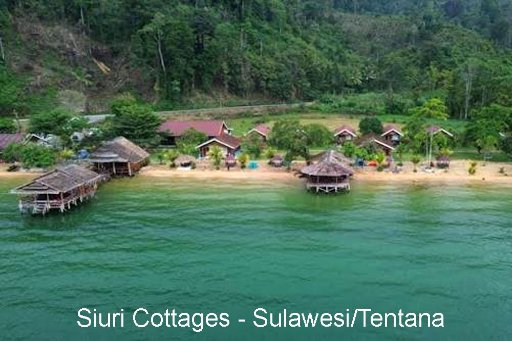 Siuri Cottages Tentena