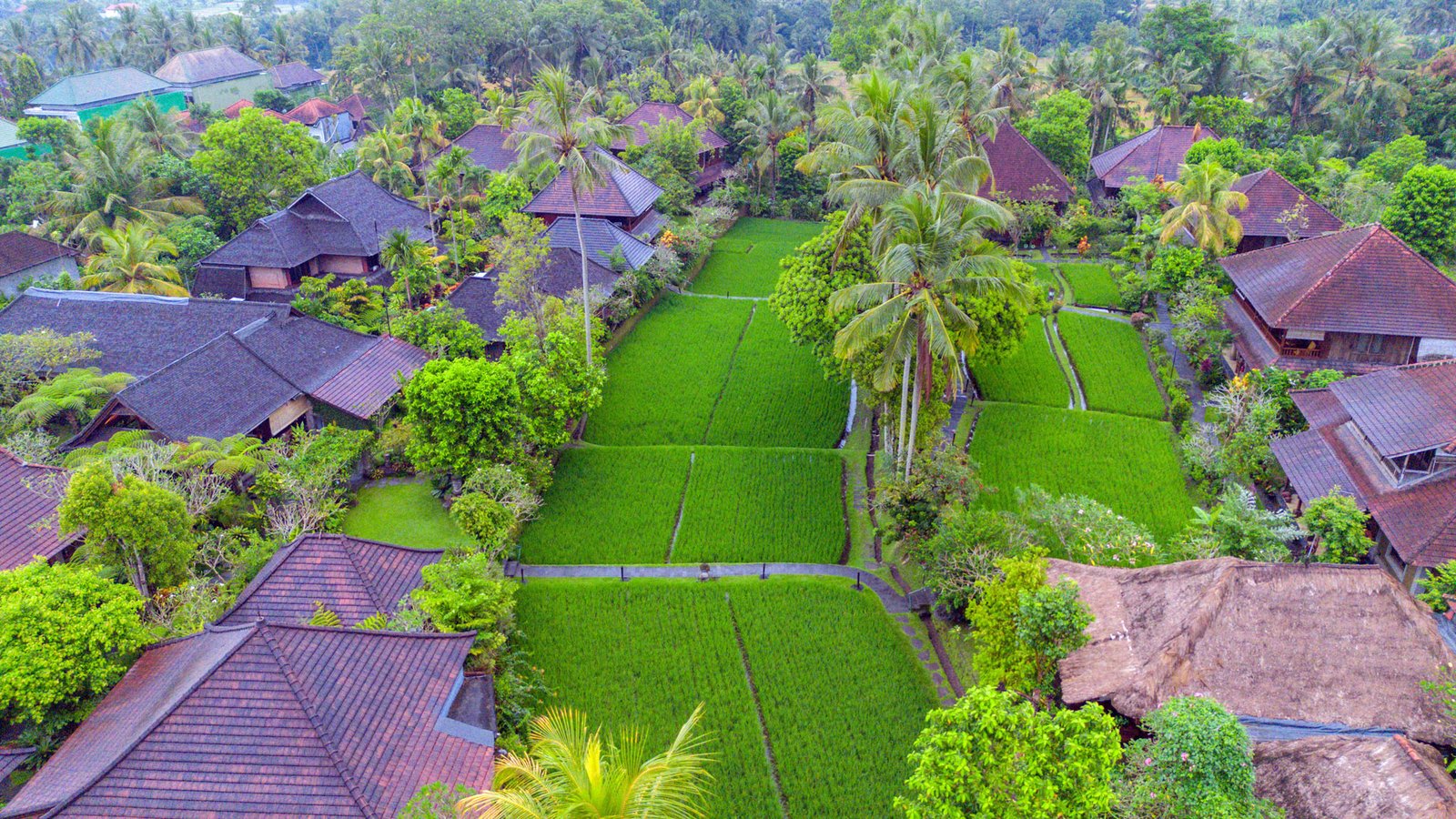 Accommodatie Ananda Cottages Ubud