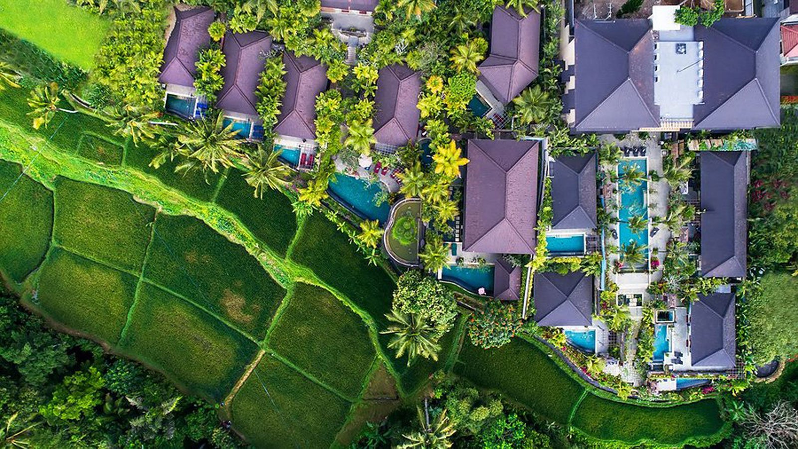 Bali Accommodatie Dwaraka Royal Villa