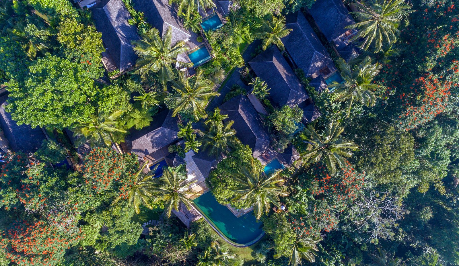 Bali Accommodatie Komaneka Ubud