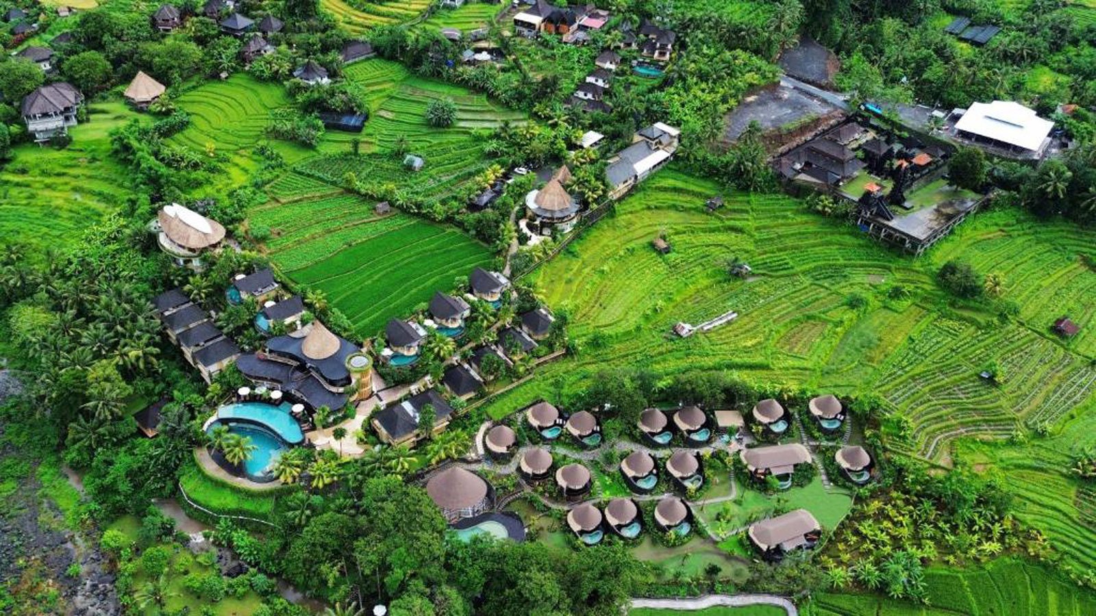 Bali Accommodatie Wapa Di Ume Bali