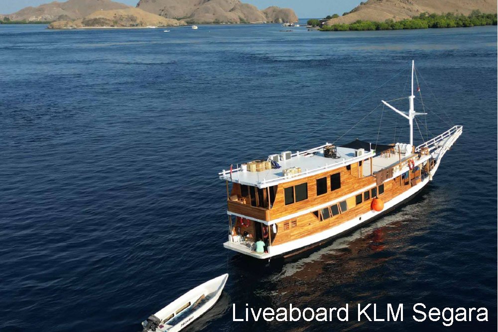 Komodo Liveaboard KLM Segara
