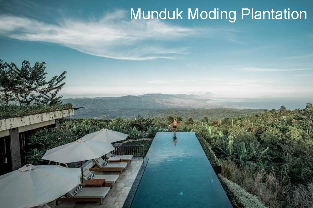 Bali Rondreis Munduk Moding Plantation