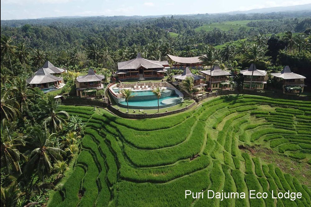 Bali Honeymoon Rondreis Puri Dajuma